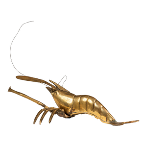 Mid-Century Modern Prawn / Shrimp Hanging Wall or Table Sculpture in Solid Brass, Usa, C. 1960s
