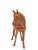 Hand-Carved Teak Horse, Bali, Indonesia, 1970s For Sale - Image 9 of 11