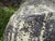 Charcoal Vintage Volcanic Glaze Terracotta Garden Planter For Sale - Image 8 of 10