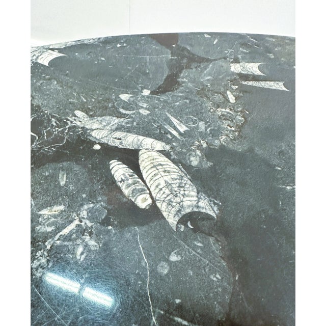 Fossil Stone Coffee Table with Acrylic Glass Cross Base For Sale - Image 13 of 15