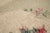 Antique French Tapestry Seat Cover. Circa 1890 One of Pair 2'4'' X 2'8'' For Sale - Image 9 of 9