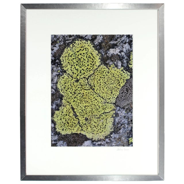 Please allow at least 14 days for printing and framing before a piece is shipped. Entitled "Chérubin", this 2012 archival...