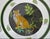 Lynn Chase Sitting Left Jaguar Jungle Cat Glass 8 1/4" Salad Plate Set of 2 For Sale - Image 4 of 12