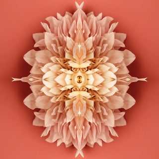 "No. 127" Contemporary Original Abstract Botanical Limited Edition Print by Erin Derby For Sale