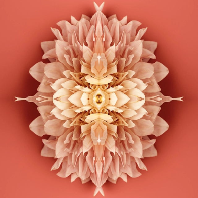 "No. 127" Contemporary Original Abstract Botanical Limited Edition Print by Erin Derby For Sale