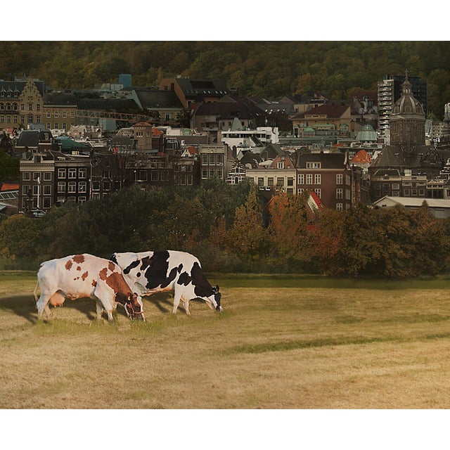 Contemporary Europa by Mariska Karto | Hyperphotocollage on metal depicting a surreal landscape with urban and rural elements. For Sale - Image 3 of 5