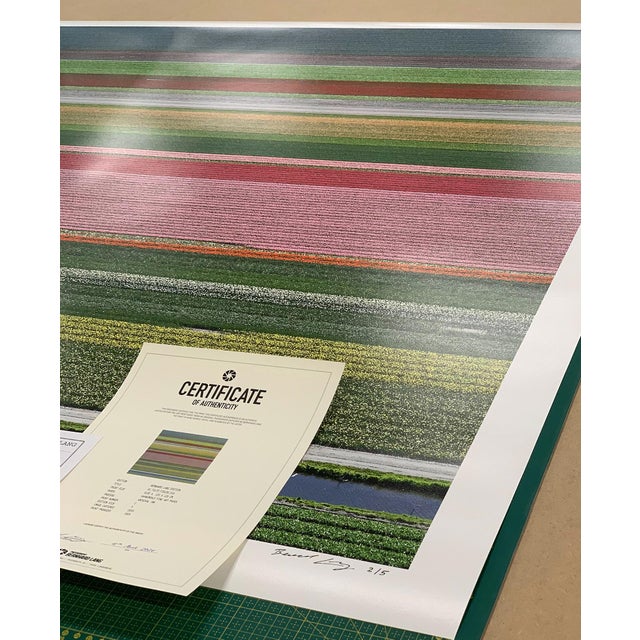 Contemporary "AV_Tulip_Fileds_014", Size A, Limited Edition Fine Art Photograph Print by Bernhard Lang For Sale - Image 3 of 10