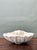 Rustic Vintage Italian Carved Wood Shell Bowl For Sale - Image 3 of 12
