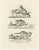Domestic Cats, 1836, Lithograph For Sale - Image 10 of 10