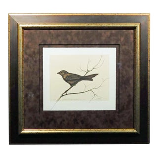 1990s Frank Howell "Dalton Canyon Winter Sparrow" Framed Hand Signed and Numbered Print For Sale