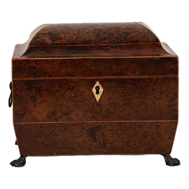 Regency Burl Yew Tea Caddy (C. 1820) For Sale