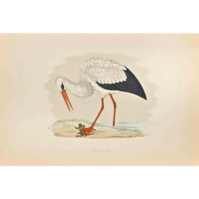 White Stork is a modern artwork realized in 1870 by the British artist Alexander Francis Lydon (1836-1917). Woodcut print...