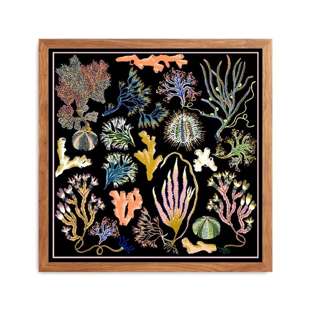 Seaweed botanical giclée print based on the original art installation ‘Into the Sea Forest’ for the Royal Albert Memorial...