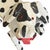 Vintage American Folk Art Dalmatian For Sale - Image 9 of 13