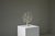 White brutalist tree candle holder “tree of life” 1970s. This striking brutalist candle holder, dating from the 1970s, is...