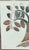 Mid-Century Modern Original Mid Century Greg Copeland Tree of Life Mirror With Apple - Signed and Dated For Sale - Image 3 of 9