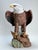 Mid 20th Century Rare Kaiser Porcelain American Bald Eagle Sculpture Limited Edition No. 12/200, W. Germany For Sale - Image 4 of 15