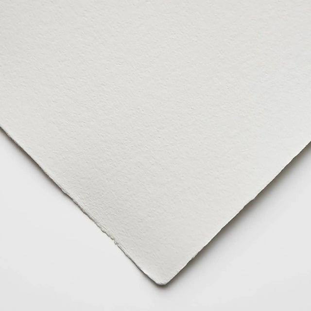 La Belle Dame Art Print 11.8x15.8 - by Holly Lowen, Oak Frame For Sale - Image 4 of 4