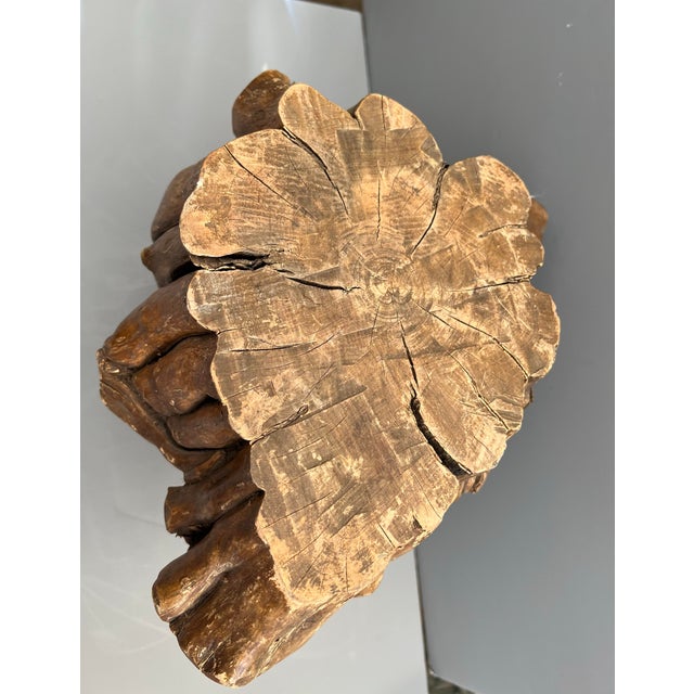 Wood Natural Tree Root Plant Stand For Sale - Image 7 of 9