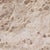 2020s Onda Sculptural Marble Coffee Table For Sale - Image 5 of 6