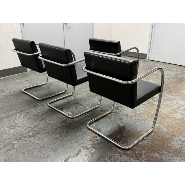 2010s Casprini Tubular Brno Style Armchairs, Set of Four For Sale - Image 5 of 12
