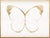 Celebrating our love of Nature these wonderful Butterfly designs have been routed to fit the shape of the butterflies...