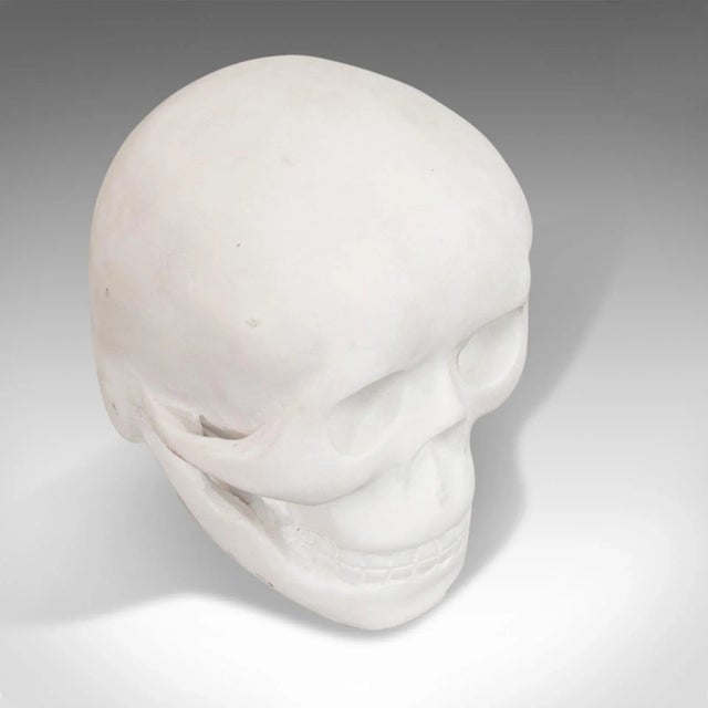 Stone 20th Century Marble Skull Decorative Ornament For Sale - Image 7 of 11