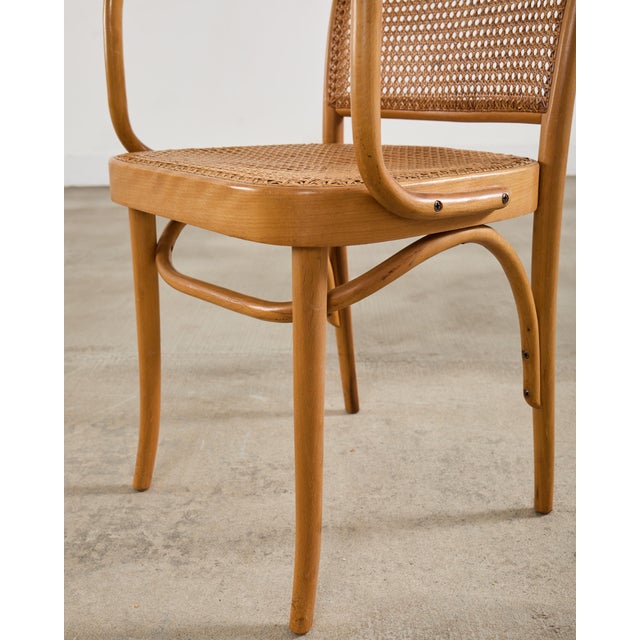 Set of Four Thonet Prague Bentwood Armchairs by Josef Hoffman For Sale - Image 18 of 18