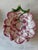 Mediterranean Vintage Neuwirth Majolica Strawberry Plates - a Pair For Sale - Image 3 of 8