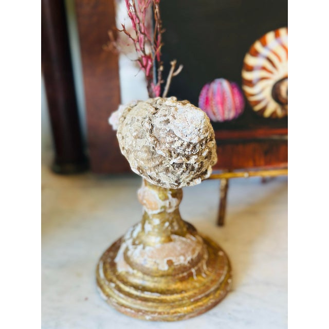 Sea Fan Shell Art on Italian Gold Gilt Base For Sale - Image 4 of 10