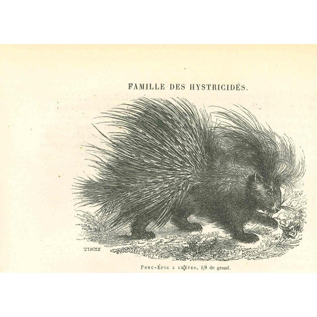 Porc-Epic is an original lithograph on ivory-colored paper, realized by Paul Gervais (1816-1879). The artwork is from The...