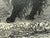 Victorian Antique Wood Engraving of a Llama, C. 1860s–1890s, Beautifully Framed in Red For Sale - Image 3 of 11