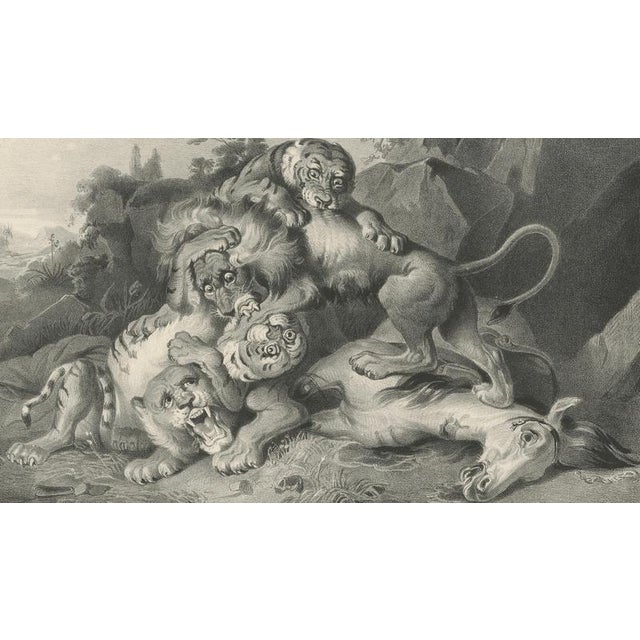 Paper Raden Saleh, Tigers & Lions Fight Horse, Lithograph, 1845 For Sale - Image 7 of 10