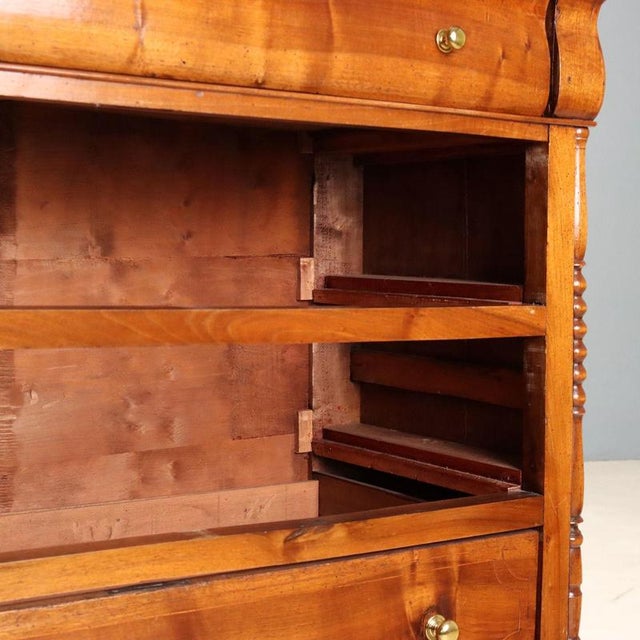 Brown 19th Century Louis Philippe Walnut Chest of Drawers, Italy For Sale - Image 8 of 12