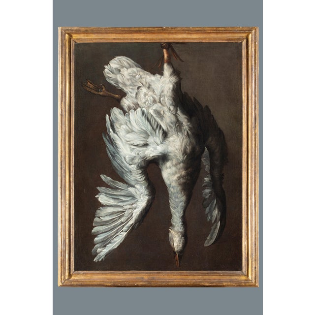 Jean-Baptiste Oudry, White Duck, 1800s, Oil on Canvas, Framed For Sale - Image 13 of 13