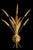 Vintage Antique Gold Tole Sheaf of Wheat Metal Wall Candle Holders- A Pair For Sale In West Palm - Image 6 of 7