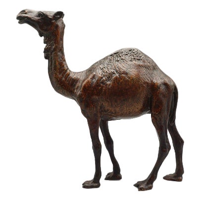 Franz Bergman, Dromedary, 1890s, Bronze For Sale