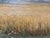 Landscape Composition, Oil Painting on Cardboard, Framed For Sale - Image 7 of 11