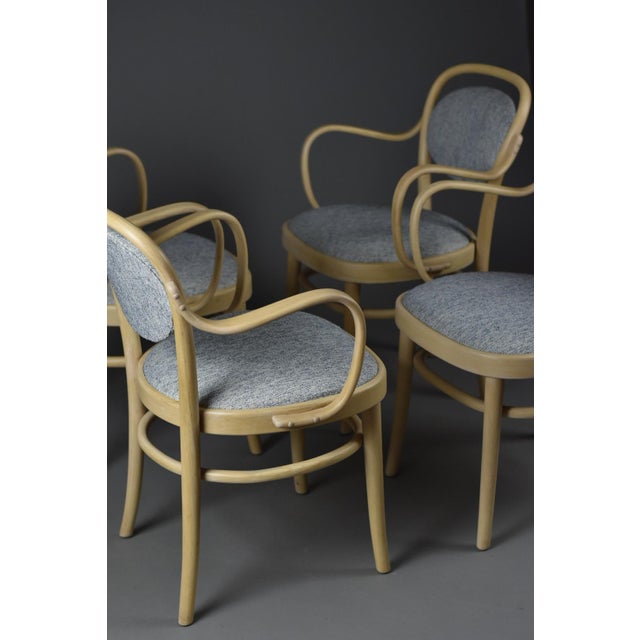 Midcentury Modern Dining Bentwood Chairs from Gemla Möbler, 1970s, Set of 4 For Sale - Image 16 of 17