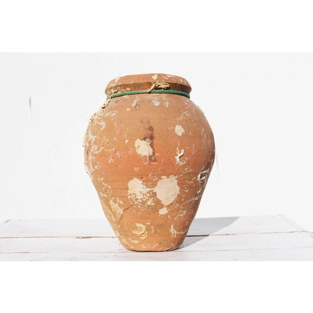 Rustic European 19th Century Antique Terracotta Octopus Trap Undersea Pot For Sale - Image 3 of 13