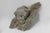 French Putti Sculpture in Limewood and Plaster, 18th Century For Sale - Image 5 of 12