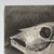 Italian Realist still life study depicting a cow skull, executed in charcoal on wove paper. Signed by the artist in the...