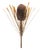 Fall Banksia Pod Stem (Set of 2) For Sale