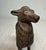Black Large Antique Early 1900's a.c. Williams Cast Iron Stag Deer Still Coin Bank For Sale - Image 8 of 12