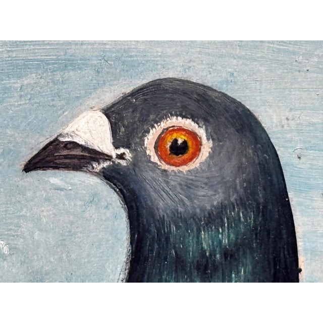 Wood Circa 1930 British Folk Art Champion Racing Pigeons Oil Painting For Sale - Image 7 of 18