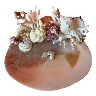 CSS Seashell "What-Not" Oyster Dish For Sale