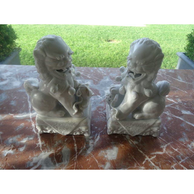 Vintage Blanc De Chine Foo Dogs For Sale - Image 4 of 6