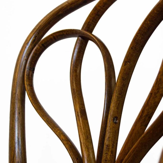 Wood Antique Spanish Bentwood Chair in Oak by Ventura Feliu, 1890s, Set of 4 For Sale - Image 7 of 9