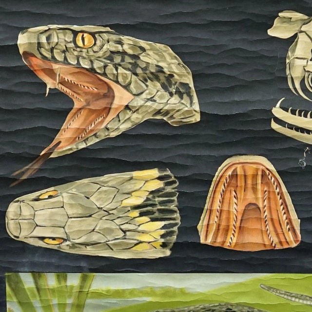 Snake Serpent Wall Chart from Jung Koch Quentell, 1960s For Sale - Image 4 of 8