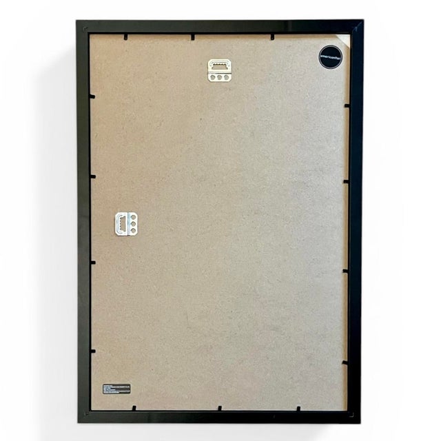 1965 French Herbarium Botanical Specimens – Set of 8 Custom Framed Pressed Botanicals For Sale - Image 18 of 18